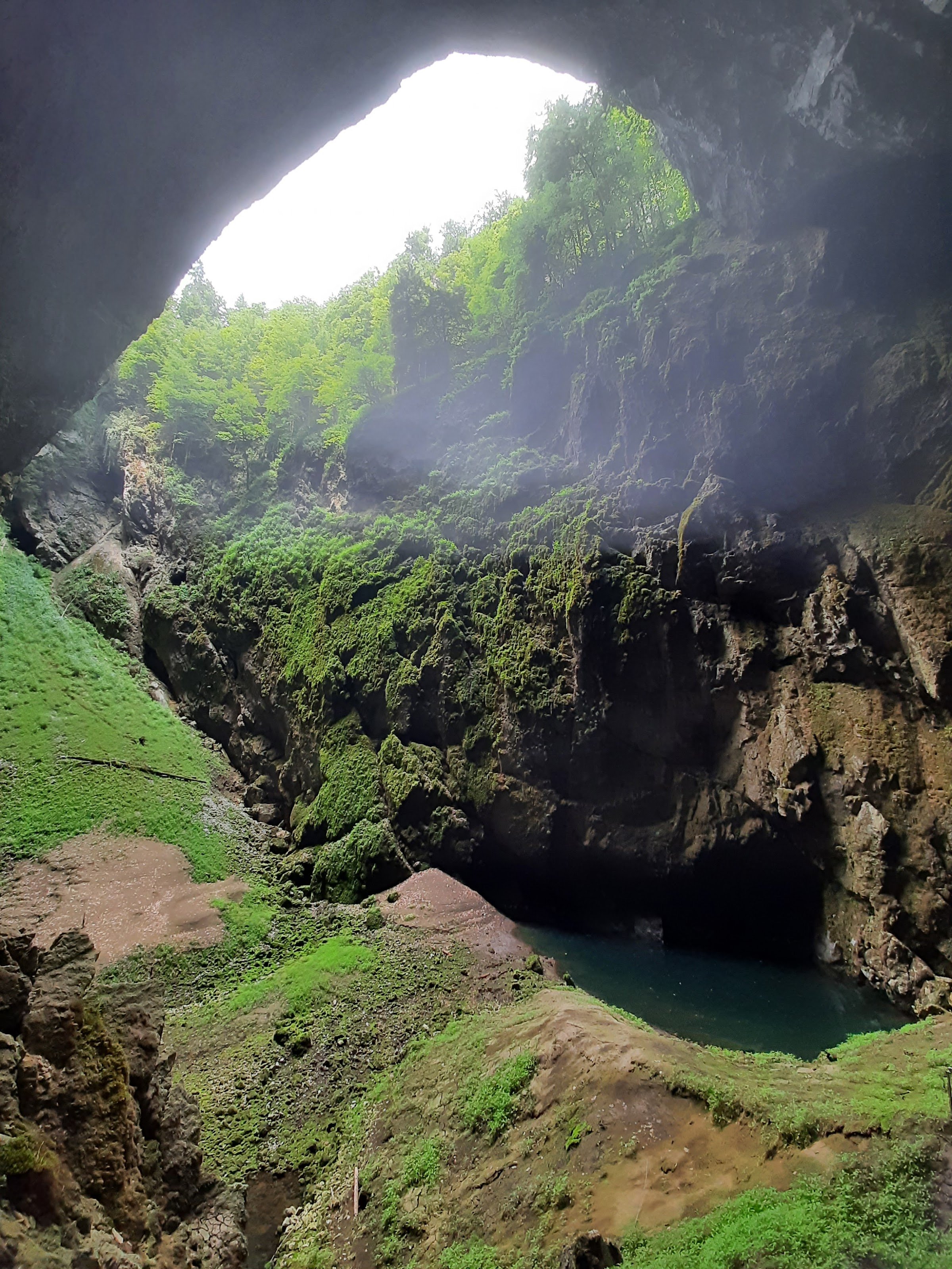 Punkva Caves (including Macocha Abyss)